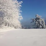 Orle بيت ضيافة Mochnaczka Wyzna