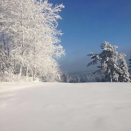 Orle Gasthof Krynica-Zdrój