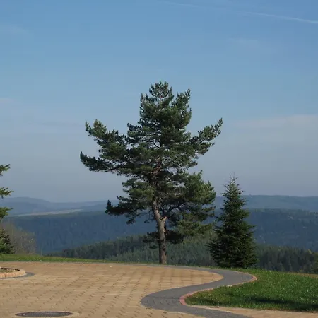 Pensionat Orle Krynica-Zdrój