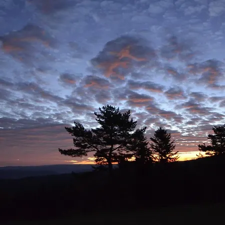 Orle 3* Mochnaczka Wyzna