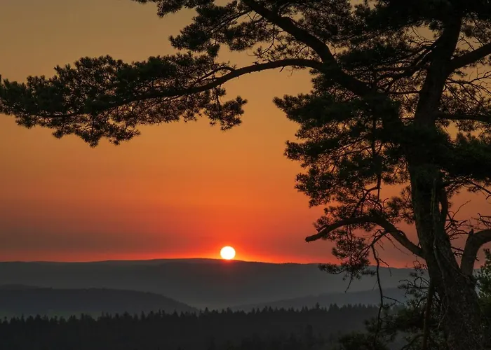 בית הארחה Orle 3*