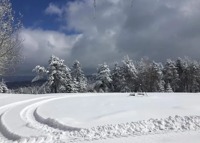 בית הארחה Orle